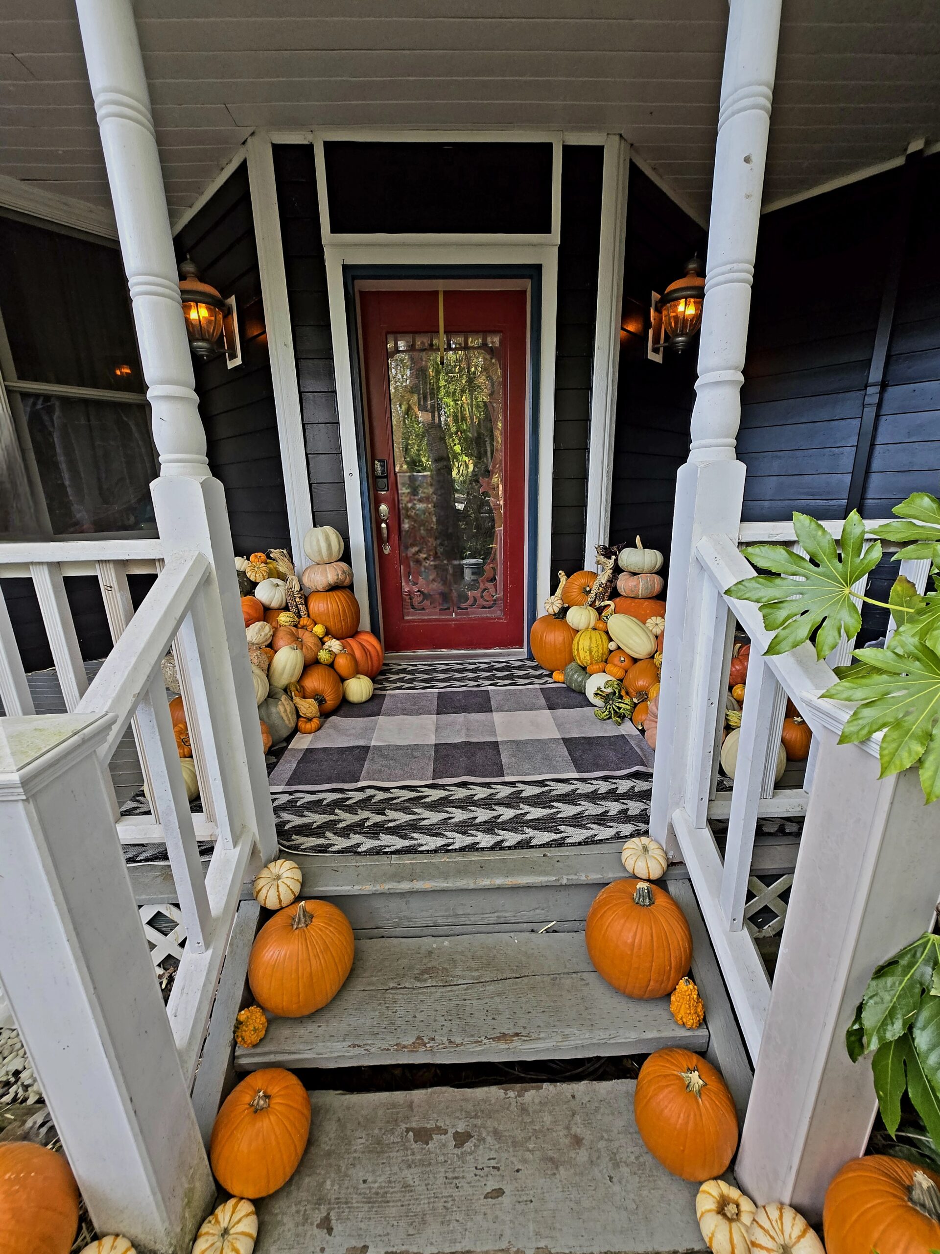 The Mother Gourd