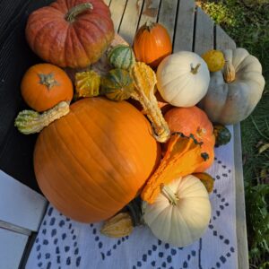 Pumpkin Porch Essentials