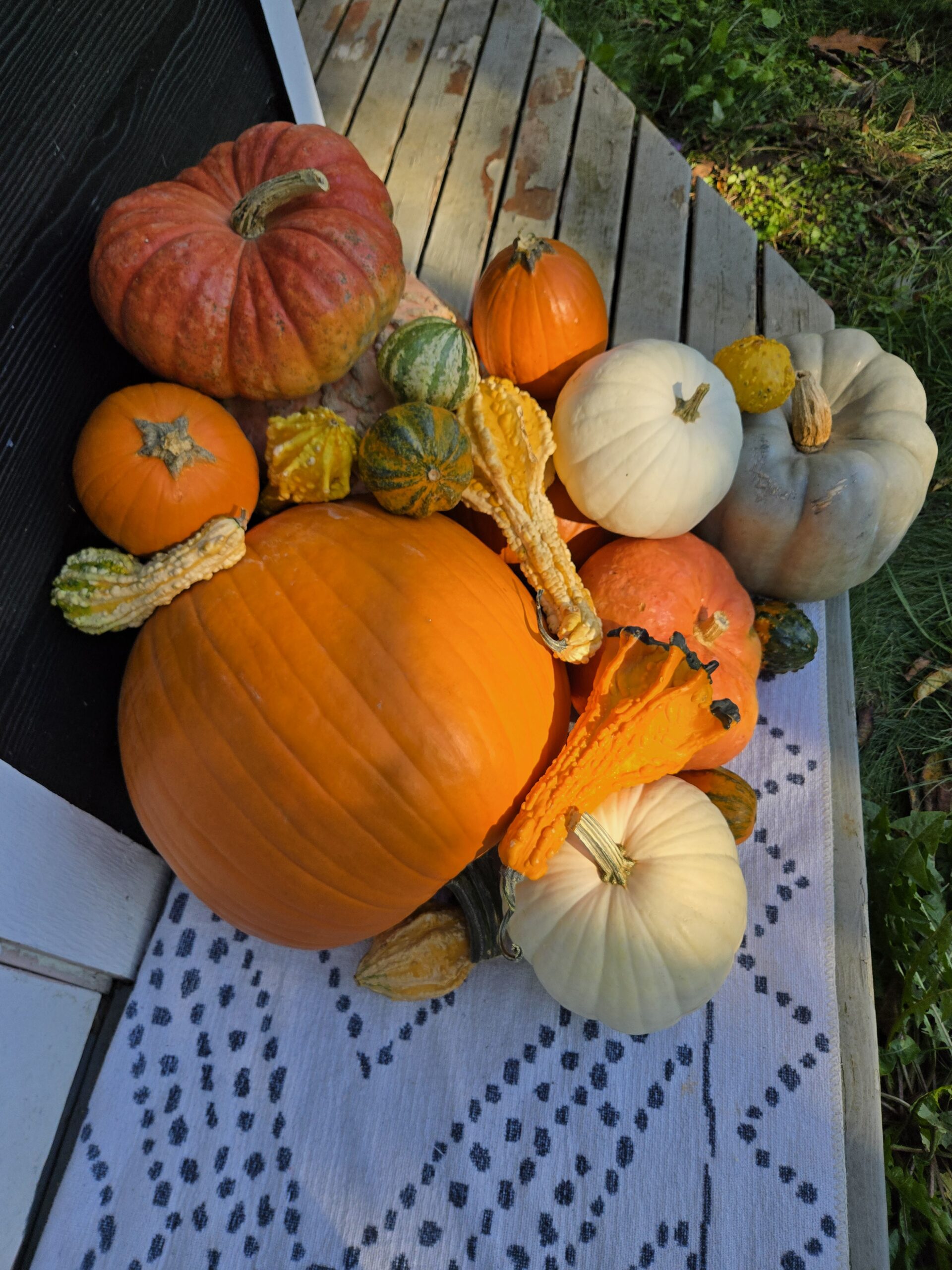 Pumpkin Porch Essentials