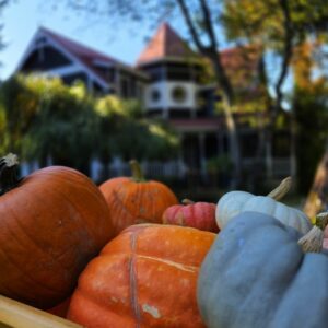 Pumpkin Porches