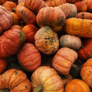 Pumpkin Porch Add Ons