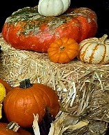 Harvest Hay Bale