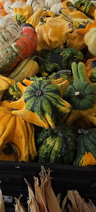 20 Ornamental Gourds